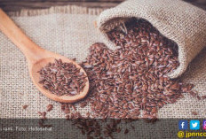 4 Makanan Kaya Serat yang Wajib Anda Konsumsi