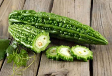 Rekomendasi Sayur Pahit Yang Bisa Bantu Cerahkan Wajah