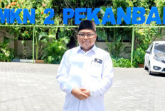 Penempatan, Mutasi hingga Jenjang Karier PPPK Harus Diakomodasi di RPP Turunan UU ASN