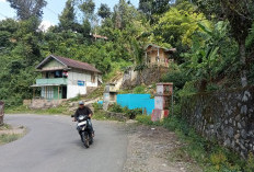 Cermin Tikungan Rusak, Pengendara Diminta Waspada Saat Melintas di Jalan Provinsi Lebong