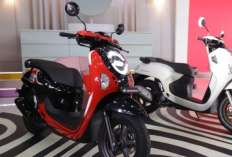 Honda Scoopy Terbaru: Skutik Stylish dengan Fitur Canggih untuk   Pengendara Modern