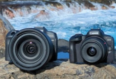 Anda Ingin Miliki Kamera Canon Ini, 5 Kamera Canon Terbaik Tahun 2025