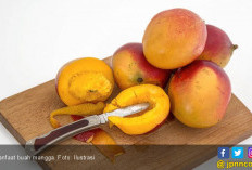 5 Manfaat Biji Mangga, Bikin Pencernaan Makin Sehat
