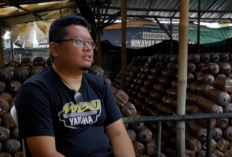 Bangkit dari Utang Miliaran, Usaha Jamur Ini Kini Jadi Tumpuan Petani