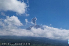 Gunung Semeru Erupsi Lagi, Tinggi Letusan Sampai 1.000 Meter di Atas Puncak