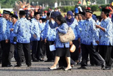 Tes SKD CPNS 2024 Mulai 16 Oktober, Simak Tata Tertib dan Daftar Dokumen yang Wajib Dibawa