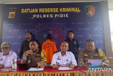 Polisi Tangkap Agen Penyelundup Rombongan Pengungsi Rohingya ke Aceh, Keuntungannya Capai Rp 3 Miliar