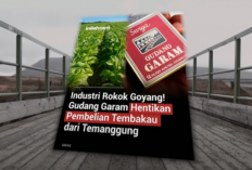Laba Anjlok 82%, Gudang Garam Sedang Menuju Kehancuran?