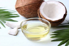 Manfaat Minyak Kelapa Solusi Alami untuk Kulit Sensitif 