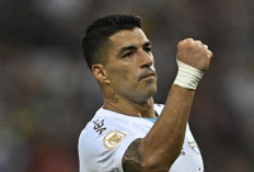 Perpisahan Manis Suarez di Gremio: Pemain Terbaik Liga Brasil