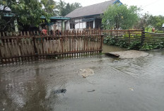 Gorong-Gorong Tak Berfungsi, Tanjung Bungai I Jadi Langganan Banjir