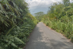 Bekas Longsor Tutupi Akses Jalan ke Desa Danau Liang