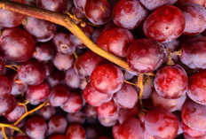 9 Buah yang Aman Dikonsumsi Penderita Tekanan Darah Tinggi