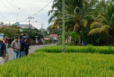 Disperkan dan Pemdes Karang Anyar Geproyokan Pengendalian Hama Tikus