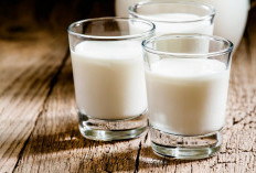 Manfaat Minum Susu Kambing Setiap Hari