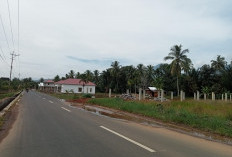 Sawah di Bingin Kuning Kian Menyusut, Alih Fungsi Lahan Tak Terbendung