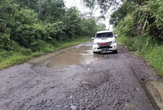 Jalan Rusak Kewenangan Provinsi Bengkulu di Lebong Masih Dibiarkan