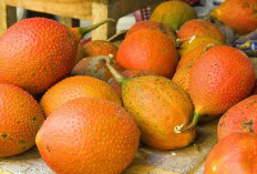 Mengenal Buah Pupia untuk Menghaluskan Kulit