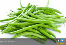 Cegah Tumbuhnya Uban di Rambut dengan Mengonsumsi 3 Makanan Ini