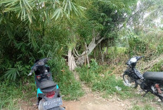 Warga Desa Karang Anyar Desak Perbaikan Jembatan Rusak