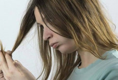 Solusi Rambut Kering? Ini Dia Vitaminnya