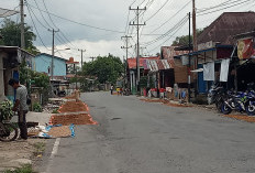 Harga Kopi di Lebong Turun ke Rp 55 Ribu per Kilogram, Petani Harap Naik Saat Panen Raya