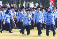 Gaji PPPK Paruh Waktu Lebih Rendah dari Honorer, Banyak yang Kaget