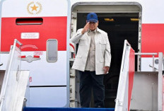 Kunker ke Washington DC, Prabowo Bakal Bertemu Donald Trump, Apa yang Akan Dibahas?