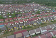 Rumah Subsidi Bakal Jadi 25 Meter, Menteri Ara Bilang Begini