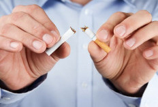 Anda Ingin Berhenti Merokok, 3 Obat Ini Bisa Membantu Tanpa Efek Samping
