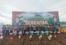 Gerakan Menanam Jagung Serentak 1 Desa 1 Hektar Lahan