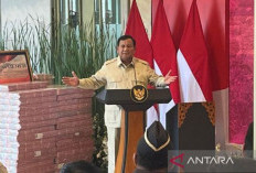 Pakar Yakin Prabowo Dukung Kejagung Kejar Pengembalian Kerugian Negara