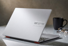 ASUS Vivobook Go 14, Laptop Tipis Harga Murah