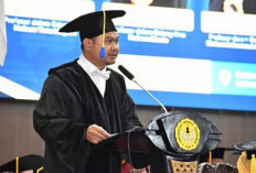 Prof Tedi Usulkan P3K PW Diintegrasikan Menjadi PPPK Penuh, Begini Argumentasinya