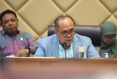 PP Manajemen ASN Bikin DPR Heran, Masalah Honorer Sebenarnya Gampang