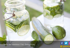 5 Manfaat Mentimun, Bikin Berat Badan Ambyar