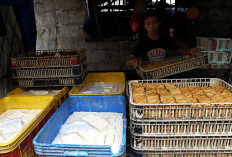 Harga Kedelai Melambung Tinggi, Perajin Tahu Mejerit