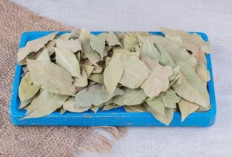 4 Rebusan Daun Herbal yang Ampuh untuk Turunkan Kadar Gula Darah
