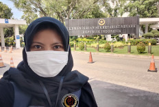 2 Solusi Ini Diyakini Mampu Mencegah PHK Massal PPPK Paruh Waktu