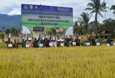 125 Hektar Lahan Pertanian Produktif di Bingin Kuning