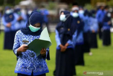 Ribuan CPNS dan PPPK 2024 Resmi jadi ASN 24 April, Kami Ikut Senang