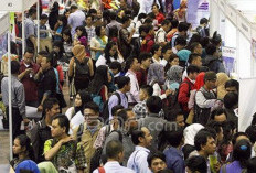 Pencari Kerja Merapat, OLX Job Fair Online 2026 Menyediakan Ribuan Lowongan Pekerjaan