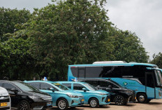 Rayakan HUT ke-53, BlueBird Tebar Sejumlah Promo Spesial untuk Pelanggan, Simak