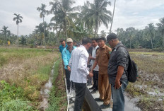 Camat Imbau Desa Dokumentasikan Semua Kegiatan