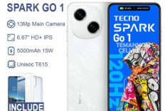 5 HP Di Bawah Rp1 Juta Paling Layak Dibeli, Performa Harian