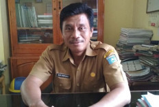 Investor Baru Akan Berinvestasi Rp 53 Miliar ke Bengkulu Utara 