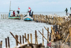 Polri Abai, Muhammadiyah Dukung Kejagung Ambil Alih Kasus Pagar Laut