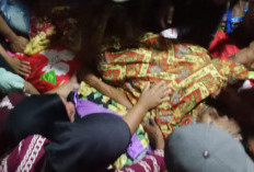 Tebang Pohon, Warga Semelako II Tewas Tertimpa di Hutan Mangkurajo