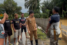 Bupati Bengkulu Utara Tinjau Banjir Batik Nau, Pastikan Penanganan Cepat
