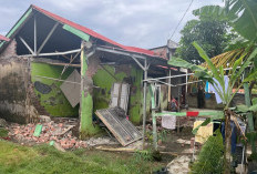 Data Sementara, 243 Unit Rumah dan Fasum Dinyatakan Rusak Akibat Gempa Bengkulu